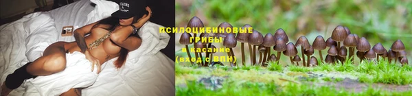 соль курить ск Баксан