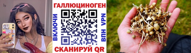 Галлюциногенные грибы прущие грибы  Коммунар 